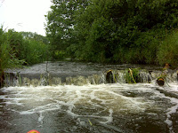 DSC03909.JPG Photo