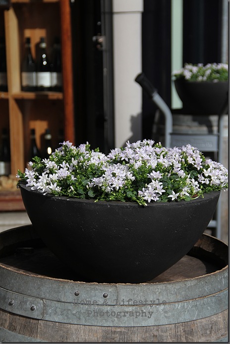 Home & Lifestyle Home & Lifestyle