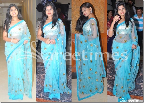Alekhya_Blue_Embroidery_Net_Saree Alekhya_Blue_Embroidery_Net_Saree