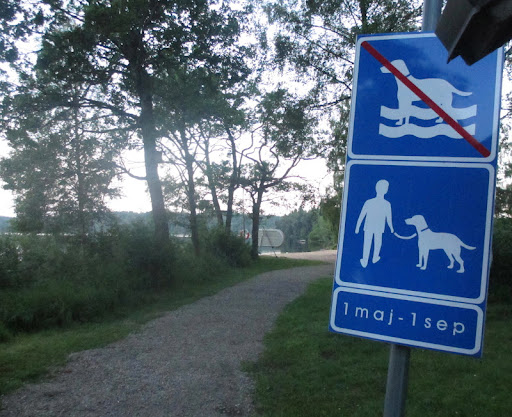 While the locals seem to prefer that the doggies not swim in the lake, they still allow canine family members to join in the summer beach fun!