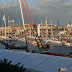 Bassin Vauban : voiliers de la Route du Rhum