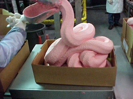 [1286168065-processed_chicken%255B1%255D.jpg]