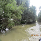 IMG_5781.JPG