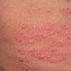 DSCN0717.JPG