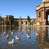 IMG_5023.JPG IMG_5023.JPG