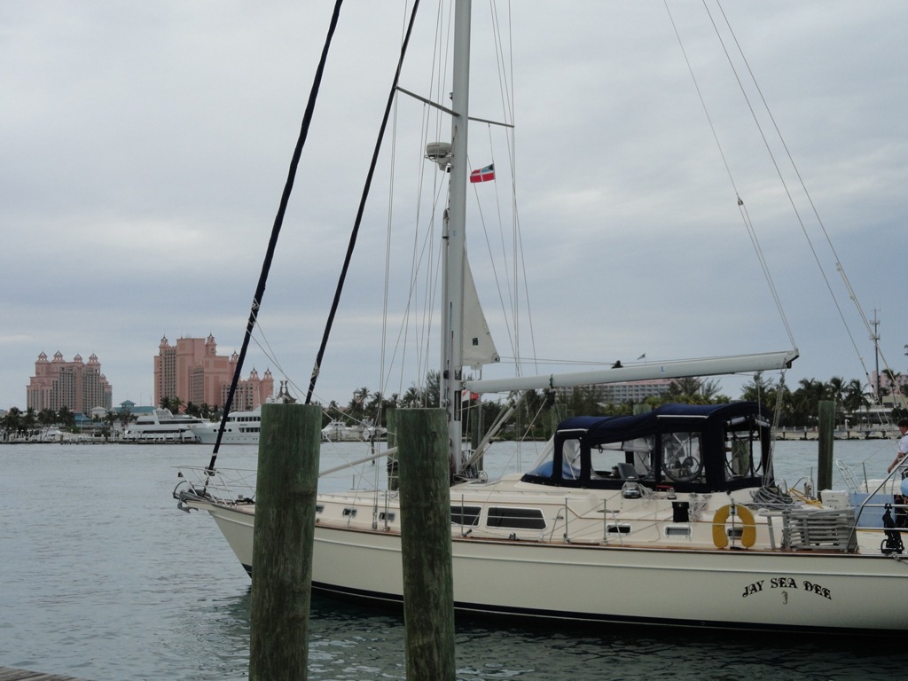 [DSC016103.jpg]