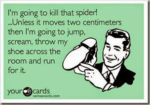 spider moves