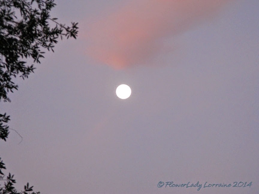 [07-013-moon-setting-at-sunrise2%255B5%255D.jpg]