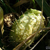 dsc05811.jpg
