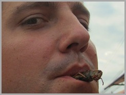 IMG_2508 IMG_2508