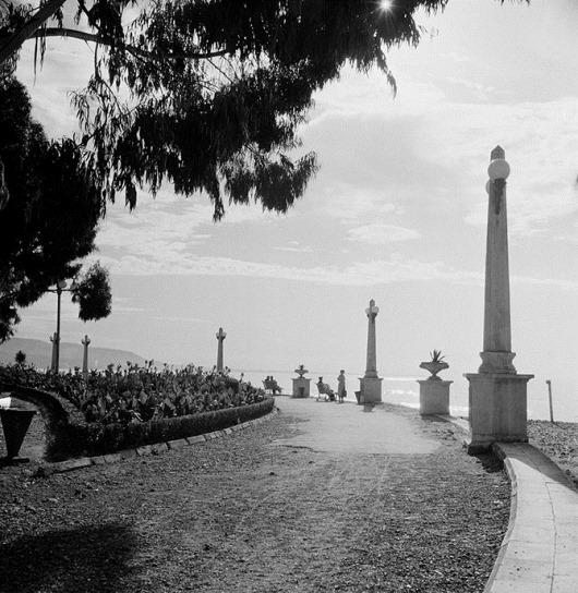 clip_image004 clip_image004
