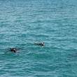 MPTseals4.JPG