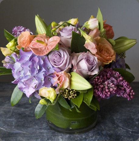 DSCF3626 bloom by Anuschka