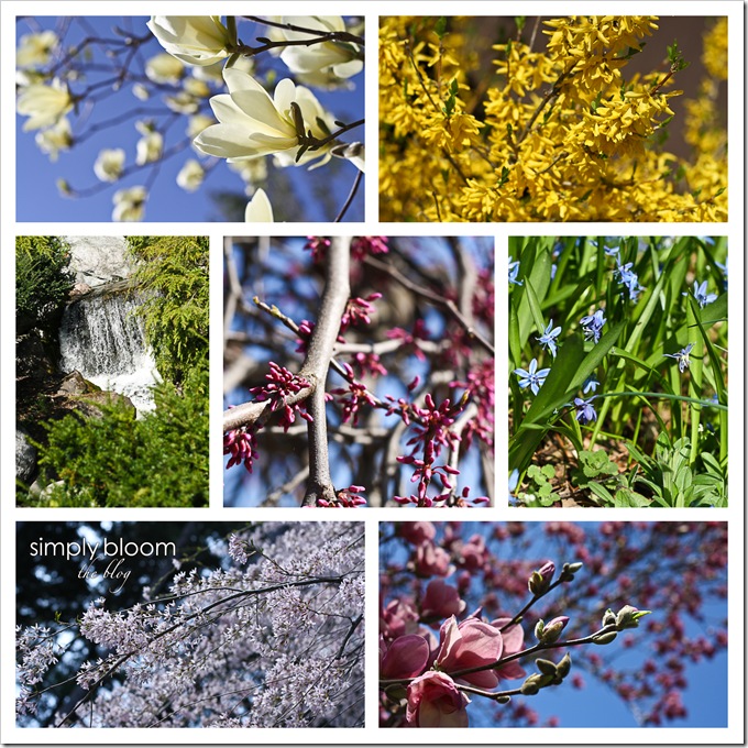 Flowers collage