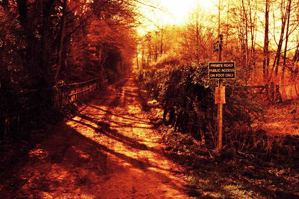 [Farm-Lane-3---XPRO%255B3%255D.jpg]
