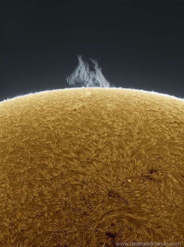 hd-photographs-of-the-sun-alan-friedmans- (8) hd-photographs-of-the-sun-alan-friedmans- (8)