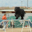 DSC_0061.JPG