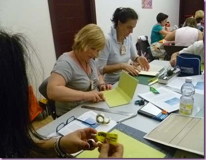 P1130837 P1130837