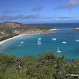 LizardIsland