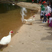 ALIM9187.JPG