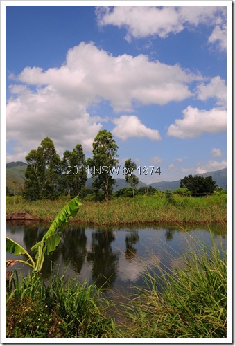 DSC_0940 DSC_0940