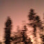 IMAG0544.jpg
