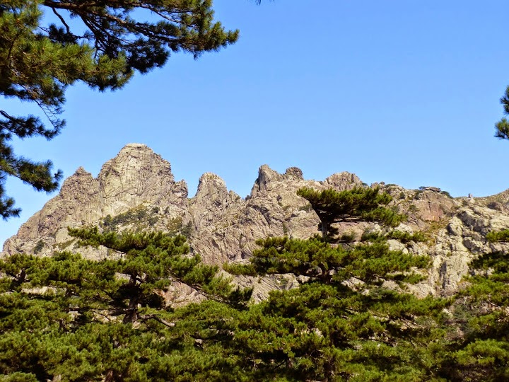 P1000208.JPG