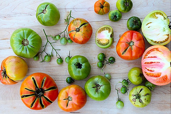 Green tomato collection
