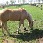 anky 021.JPG