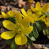 dsc07137.jpg