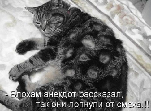 [1354868357_kotomoto-30%255B4%255D.jpg]