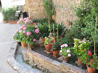 Garden plants