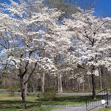 100_0481.JPG
