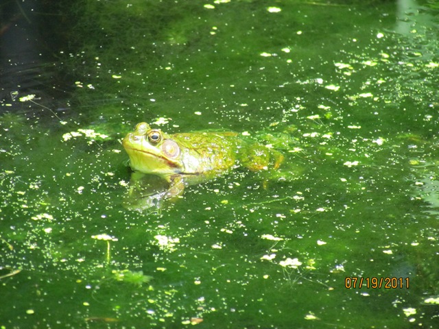 [IMG_0037%255B4%255D.jpg]