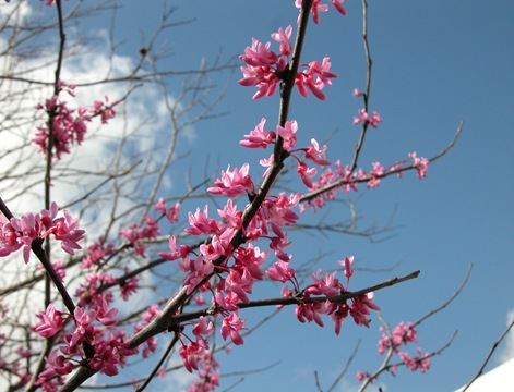 DSCN0216