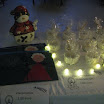 IMG_2875.JPG