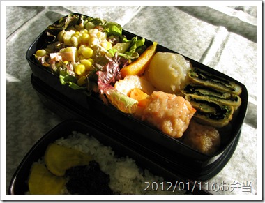 かぶとつみれの煮物弁当(2012/01/11)