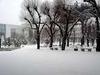 Lycée Livet