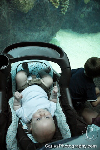 [flaquarium6of11%255B1%255D.jpg]