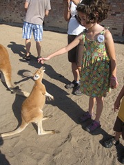 IMG_8714 IMG_8714