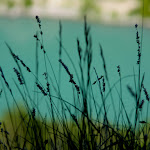 2011-07 17-37-49_0012.jpg