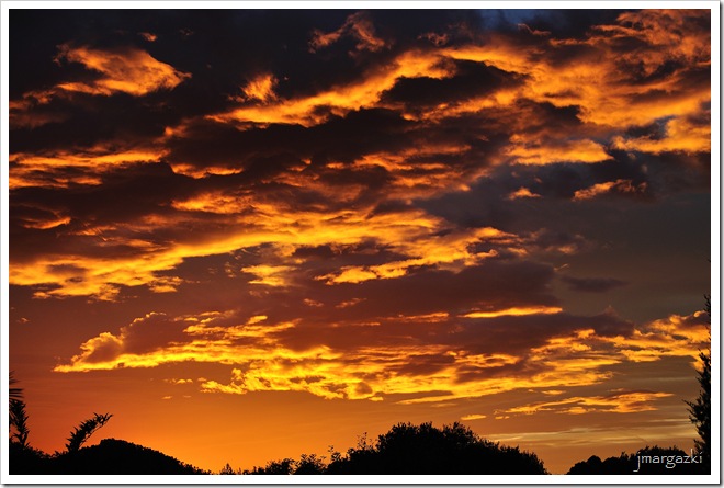 DSC_2260 DSC_2260