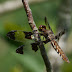 P1080164