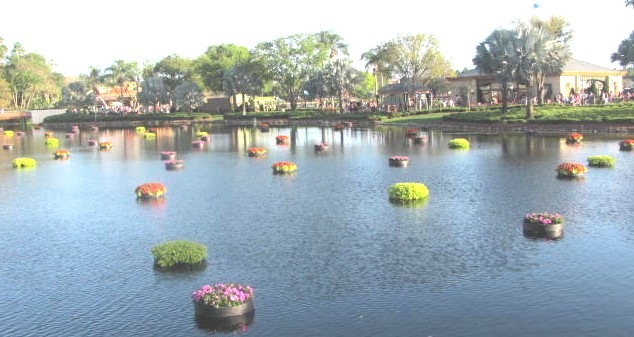 [Florida%2520vacation%2520Epcot%2520floating%2520circles%2520of%2520flowers%2520in%2520the%2520water%255B3%255D.jpg]
