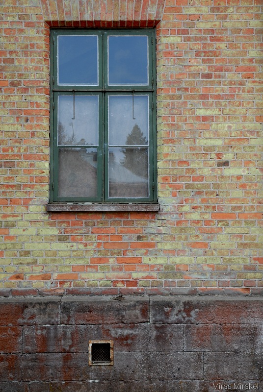 [_DSC0157g%255B6%255D.jpg]