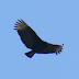 P1250768
