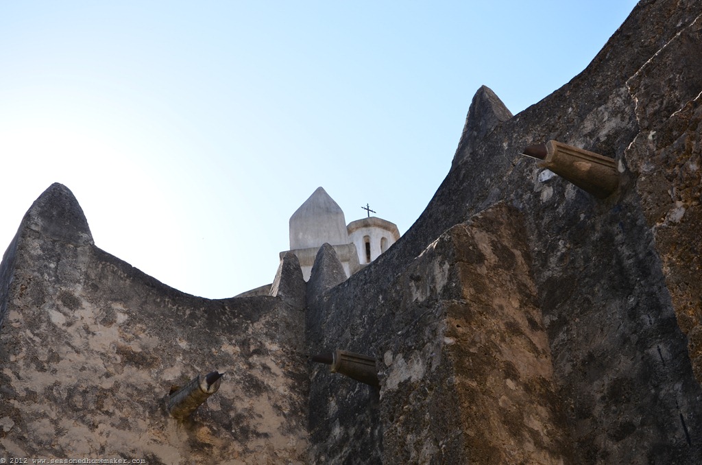 [DSC_36544.jpg]