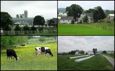 Farms Strassburg 0525121.jpg Farms Strassburg 0525121
