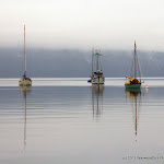 IMG_6330.jpg