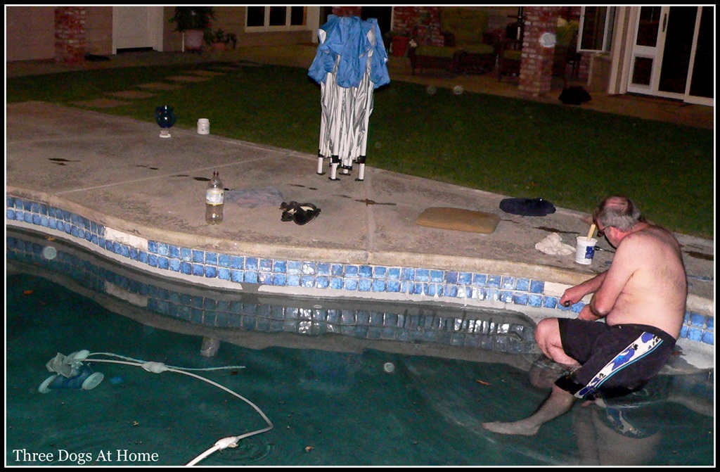 [pool%2520fix12.jpg]